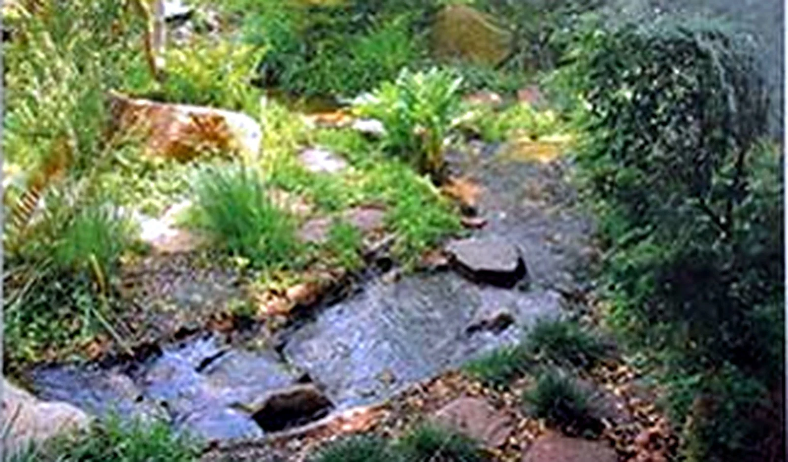 Dainfern pool