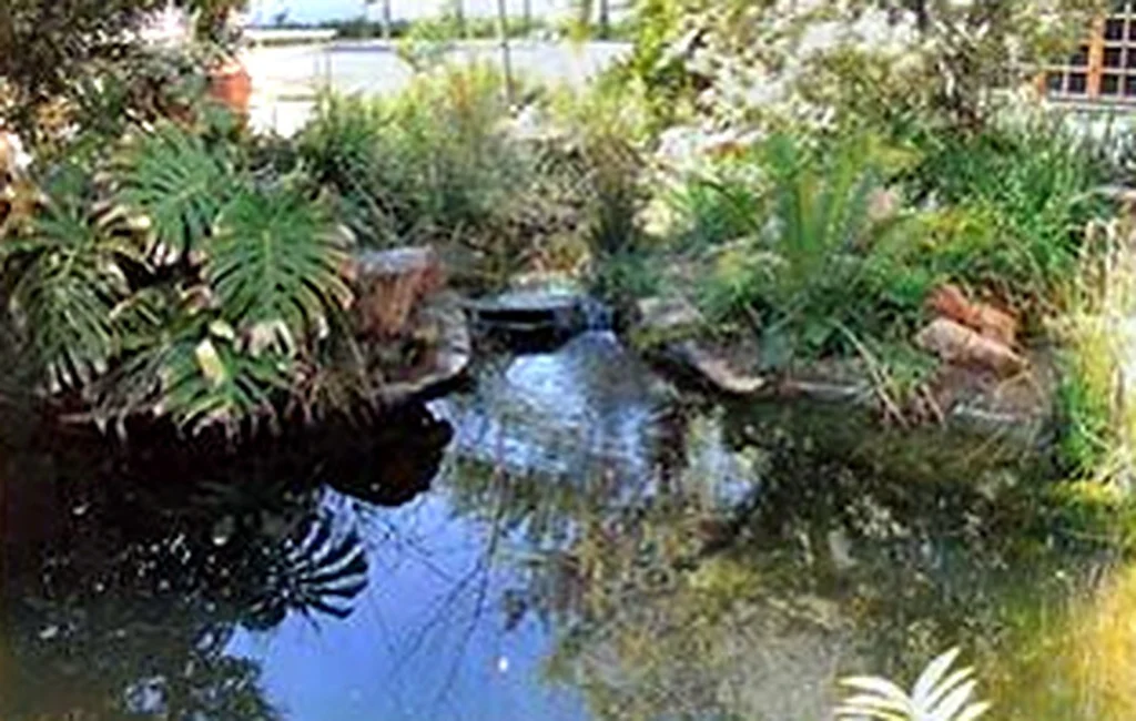 Rob Dodds pool