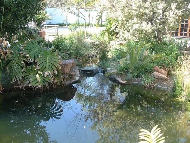 NSPI award-winning pool by Curtis Pools in Gauteng — NSPI Gold Award