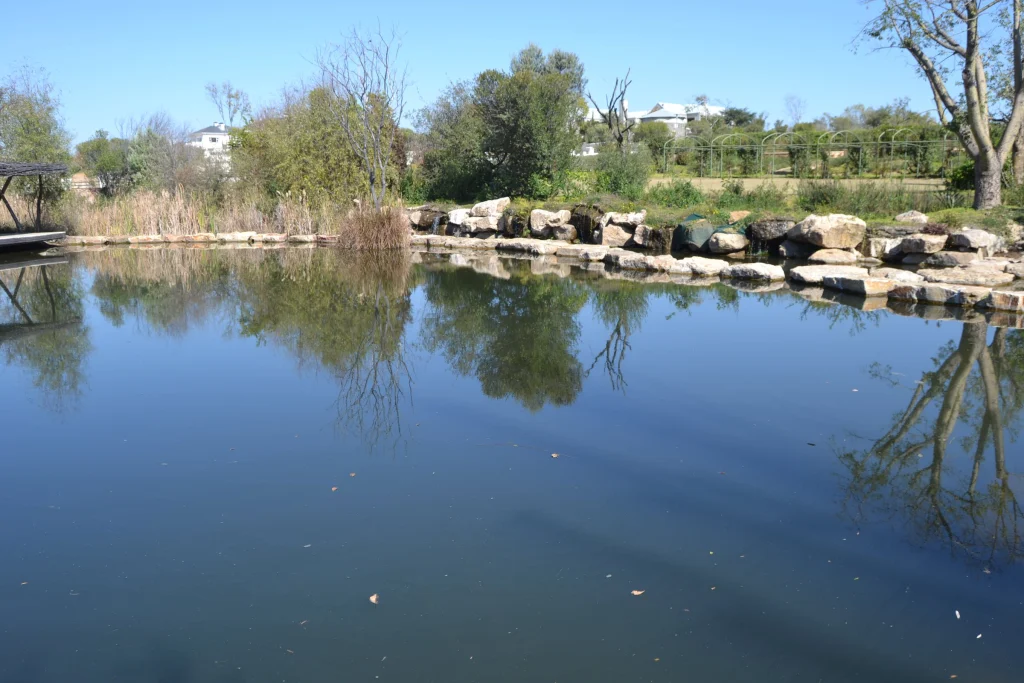 Water garden with ponds and rill, Waterfall — completed